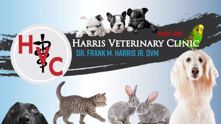 Harris Veterinary Clinic, Kentucky, Nashville